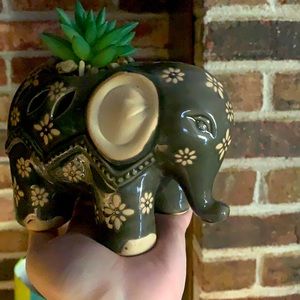 Grey and cream colored elephant. Faux succulent.